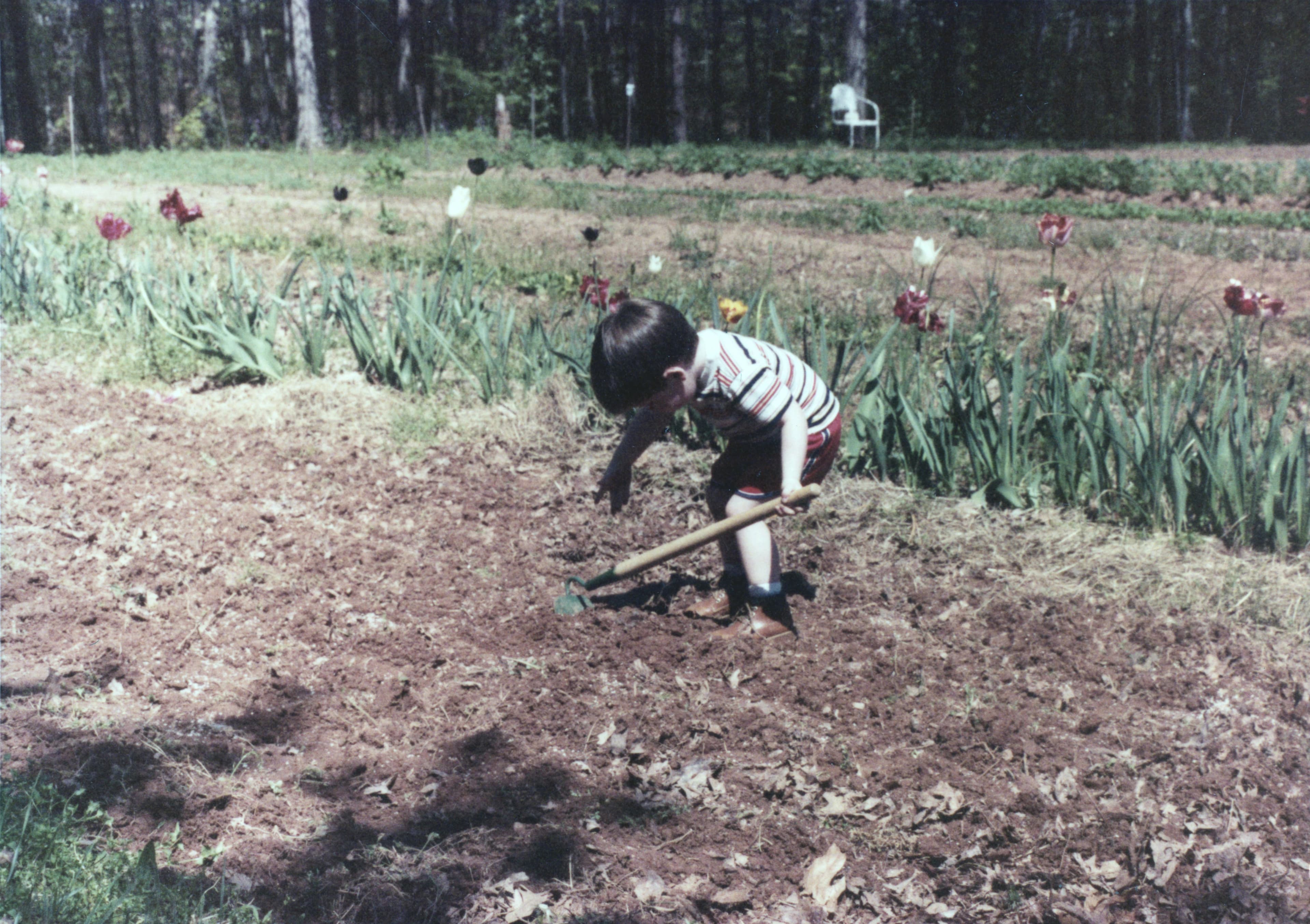 Childhood photo of a Pretty Hens founder gardening on the family farm